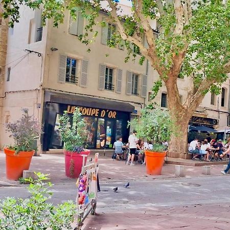 Avignon hyper-centre piéton, rénové à neuf, charmant Exterior foto