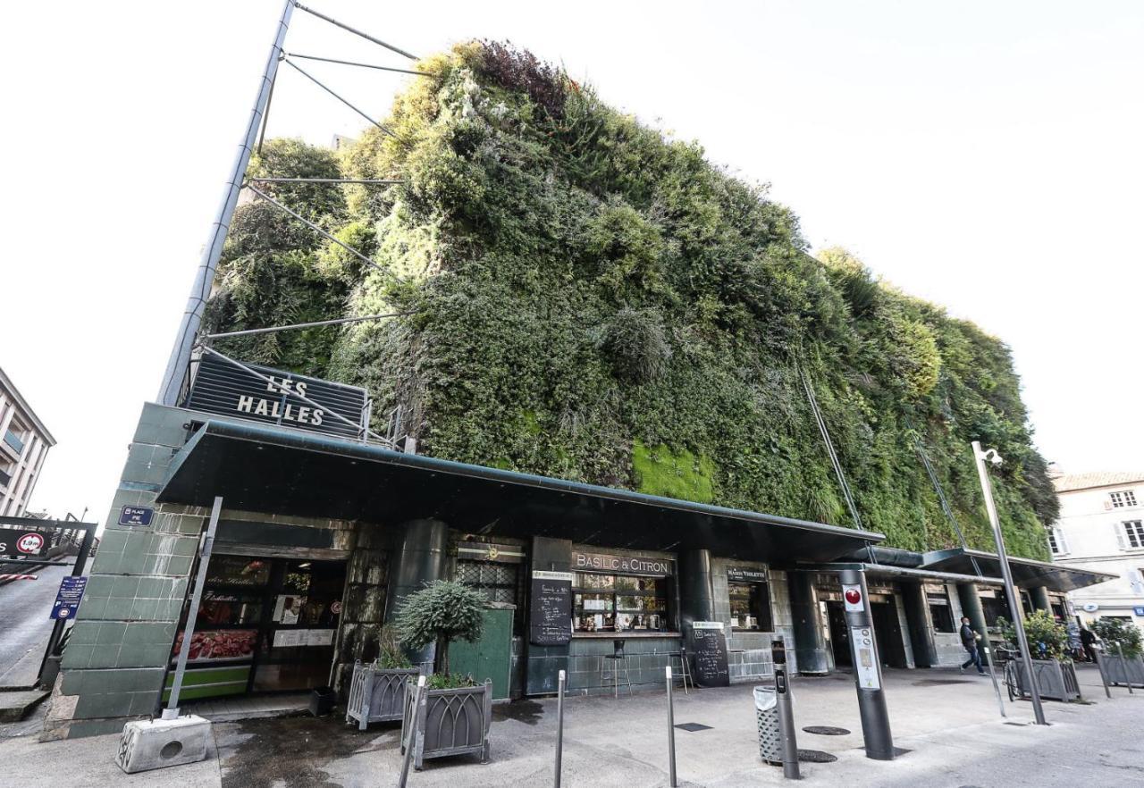 Avignon hyper-centre piéton, rénové à neuf, charmant Exterior foto