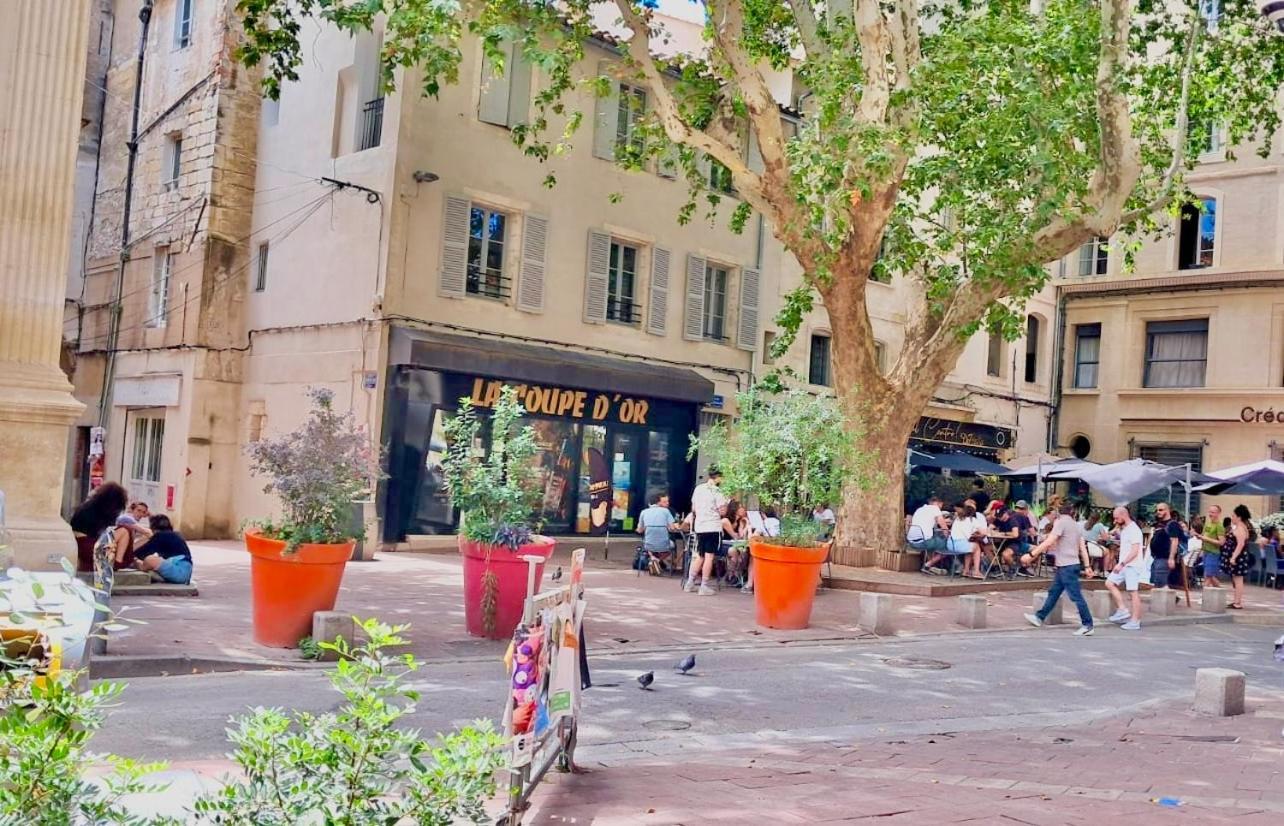 Avignon hyper-centre piéton, rénové à neuf, charmant Exterior foto